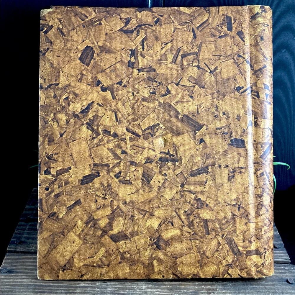 Vintage Mid Century Photo Album - Picture 8 of 10